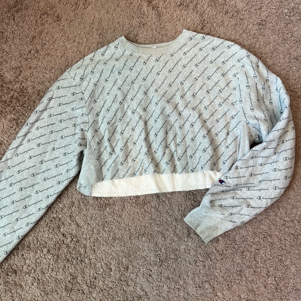 Champion cropped crew neck from urban outfitters